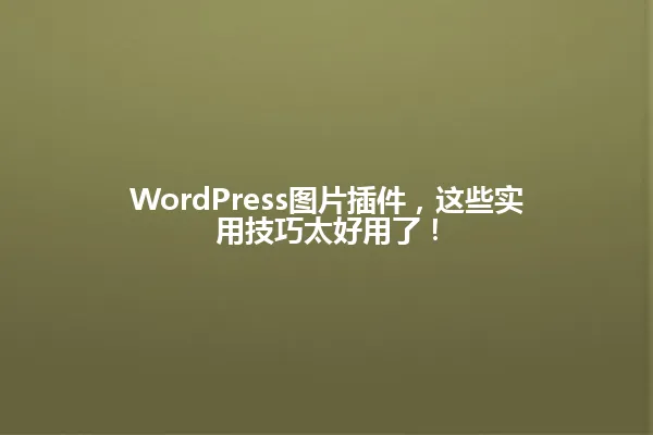 WordPress图片插件,这些实用技巧太好用了! 一