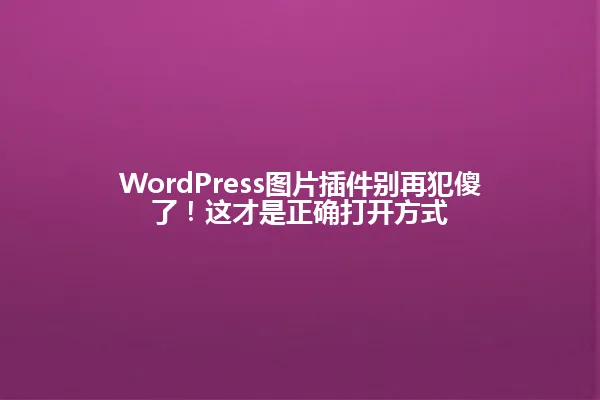 WordPress图片插件别再犯傻了!这才是正确打开方式 一