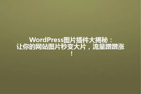 WordPress图片插件大揭秘：让你的网站图片秒变大片，流量蹭蹭涨！ 一