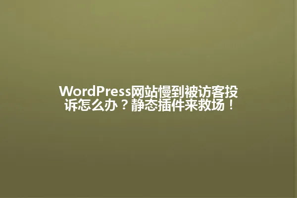 WordPress网站慢到被访客投诉怎么办?静态插件来救场! 一
