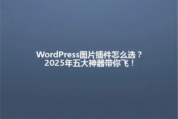 WordPress图片插件怎么选？2025年五大神器带你飞！ 一