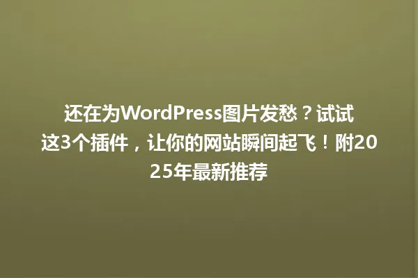 还在为WordPress图片发愁?试试这3个插件,让你的网站瞬间起飞!附2025年最新推荐 一