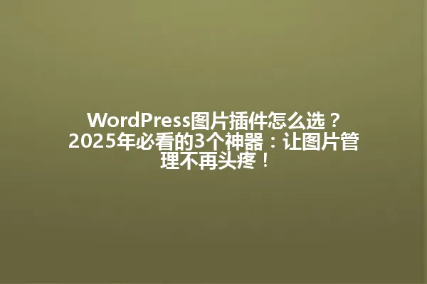 WordPress图片插件怎么选？2025年必看的3个神器：让图片管理不再头疼！ 一