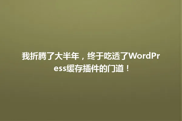 我折腾了大半年,终于吃透了WordPress缓存插件的门道! 一