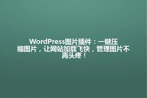 WordPress图片插件：一键压缩图片，让网站加载飞快，管理图片不再头疼！ 一