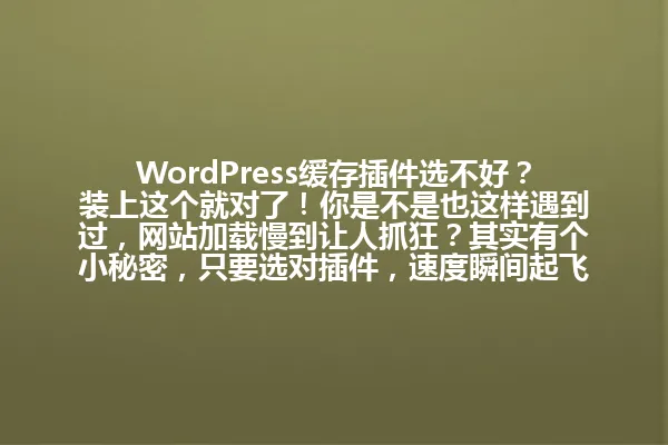 WordPress缓存插件选不好?装上这个就对了!你是不是也这样遇到过,网站加载慢到让人抓狂?其实有个小秘密,只要选对插件,速度瞬间起飞!亲测有效,效果惊人! 一