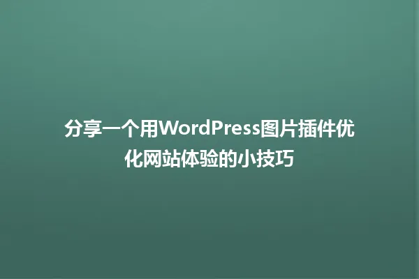 分享一个用WordPress图片插件优化网站体验的小技巧 一