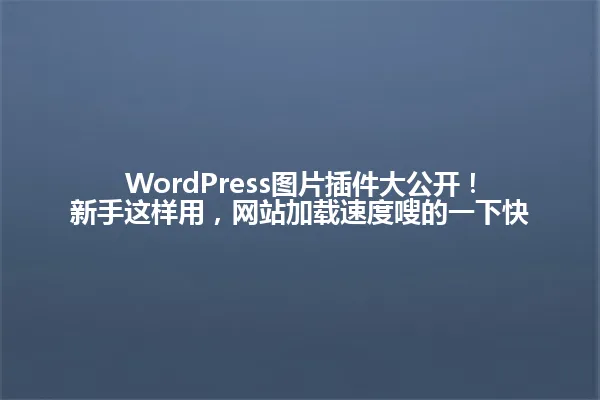 WordPress图片插件大公开!新手这样用,网站加载速度嗖的一下快 一