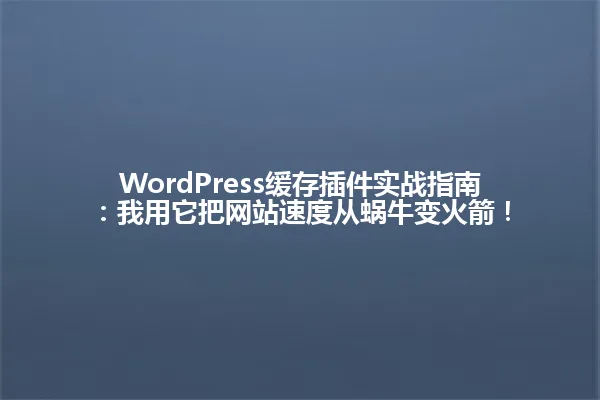 WordPress缓存插件实战指南:我用它把网站速度从蜗牛变火箭! 一
