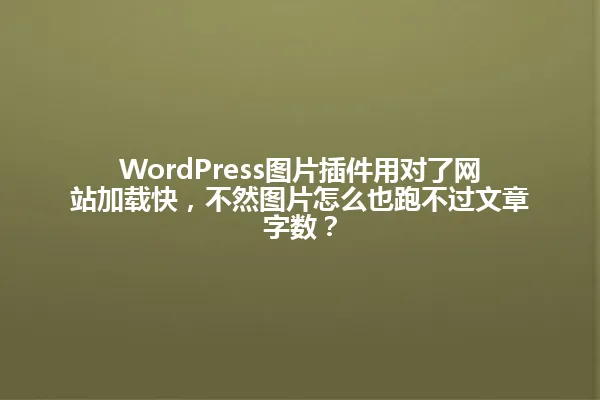 WordPress图片插件用对了网站加载快,不然图片怎么也跑不过文章字数? 一