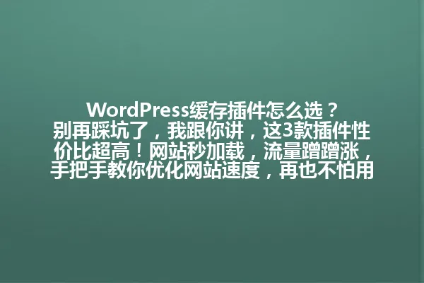 WordPress缓存插件怎么选?别再踩坑了,我跟你讲,这3款插件性价比超高!网站秒加载,流量蹭蹭涨,手把手教你优化网站速度,再也不怕用户跳走了! 一