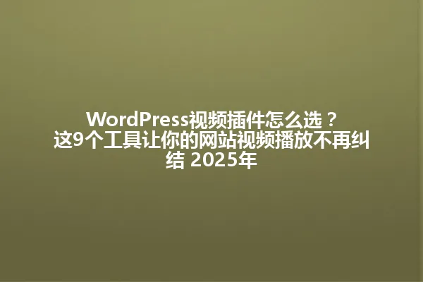 WordPress视频插件怎么选?这9个工具让你的网站视频播放不再纠结 2025年 一