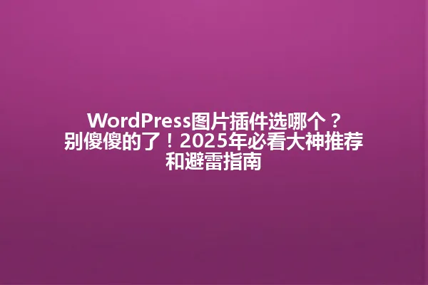 WordPress图片插件选哪个?别傻傻的了!2025年必看大神推荐和避雷指南 一