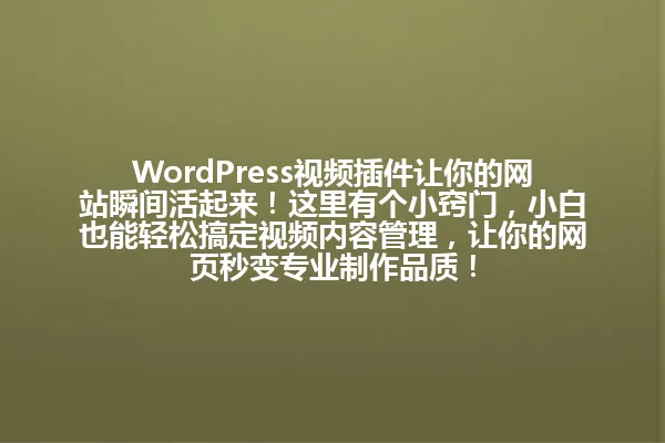 WordPress视频插件让你的网站瞬间活起来！这里有个小窍门，小白也能轻松搞定视频内容管理，让你的网页秒变专业制作品质！ 一