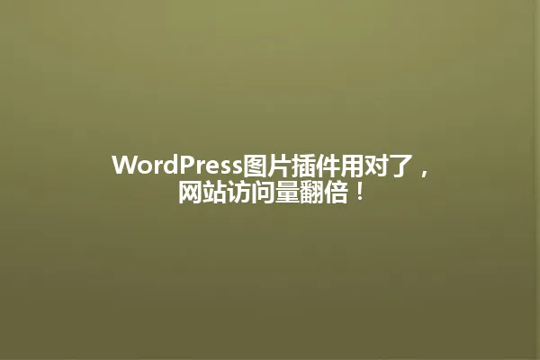 WordPress图片插件用对了,网站访问量翻倍! 一