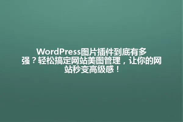 WordPress图片插件到底有多强?轻松搞定网站美图管理,让你的网站秒变高级感! 一