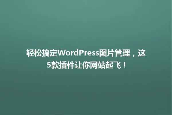 轻松搞定WordPress图片管理,这5款插件让你网站起飞! 一