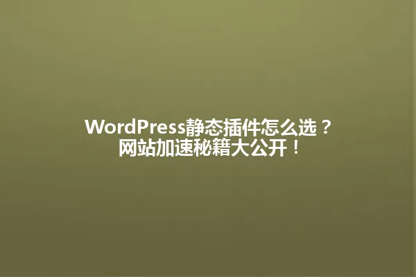 WordPress静态插件怎么选？网站加速秘籍大公开！ 一
