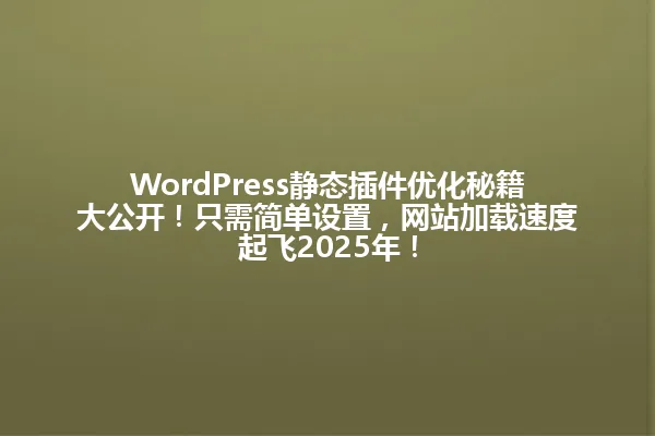 WordPress静态插件优化秘籍大公开!只需简单设置,网站加载速度起飞2025年! 一
