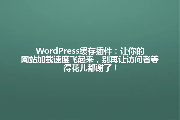 WordPress缓存插件:让你的网站加载速度飞起来,别再让访问者等得花儿都谢了! 一