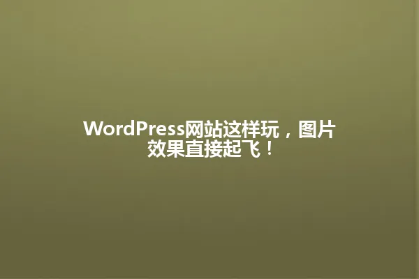 WordPress网站这样玩,图片效果直接起飞! 一