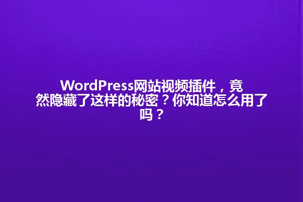 WordPress网站视频插件,竟然隐藏了这样的秘密?你知道怎么用了吗? 一