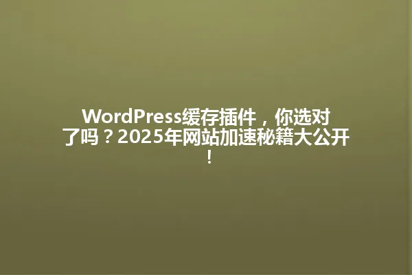 WordPress缓存插件，你选对了吗？2025年网站加速秘籍大公开！ 一