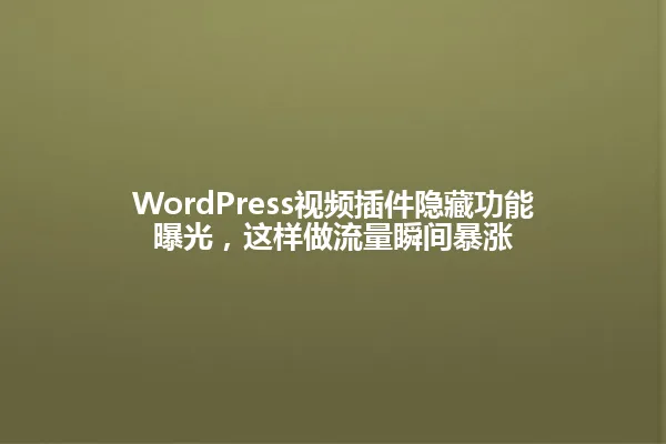 WordPress视频插件隐藏功能曝光,这样做流量瞬间暴涨 一