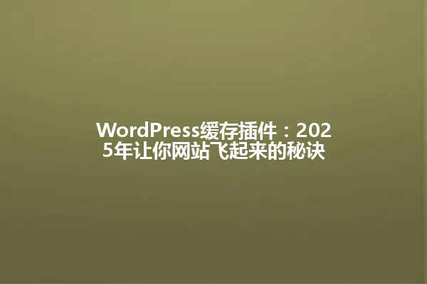 WordPress缓存插件：2025年让你网站飞起来的秘诀 一