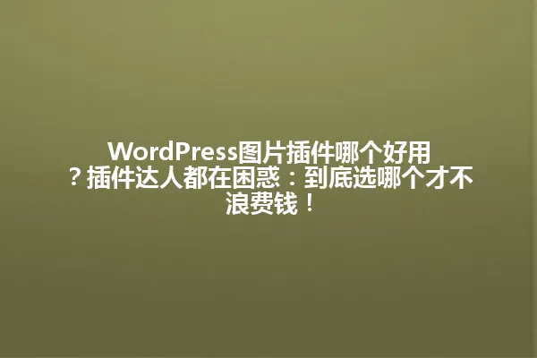 WordPress图片插件哪个好用?插件达人都在困惑:到底选哪个才不浪费钱! 一