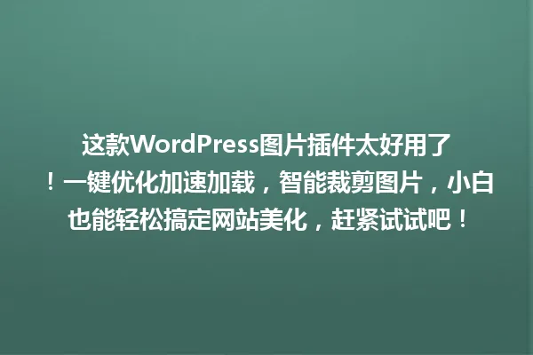 这款WordPress图片插件太好用了！一键优化加速加载，智能裁剪图片，小白也能轻松搞定网站美化，赶紧试试吧！ 一