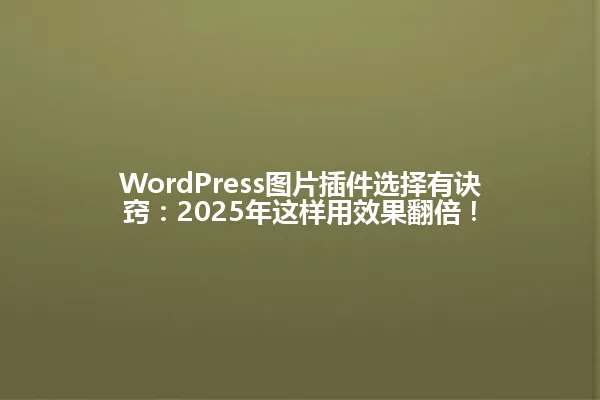 WordPress图片插件选择有诀窍:2025年这样用效果翻倍! 一