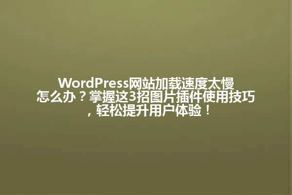 WordPress网站加载速度太慢怎么办?掌握这3招图片插件使用技巧,轻松提升用户体验! 一