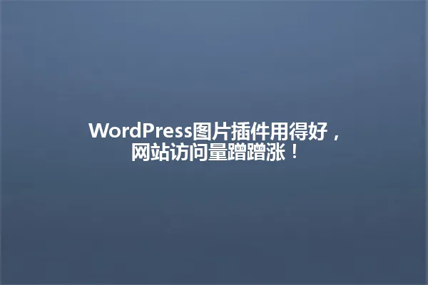 WordPress图片插件用得好,网站访问量蹭蹭涨! 一