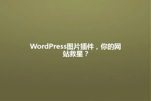 WordPress图片插件，你的网站救星？ 一