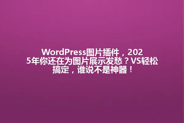 WordPress图片插件,2025年你还在为图片展示发愁?VS轻松搞定,谁说不是神器! 一