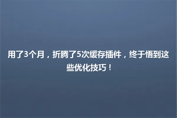 用了3个月,折腾了5次缓存插件,终于悟到这些优化技巧! 一