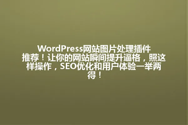 WordPress网站图片处理插件推荐!让你的网站瞬间提升逼格,照这样操作,SEO优化和用户体验一举两得! 一