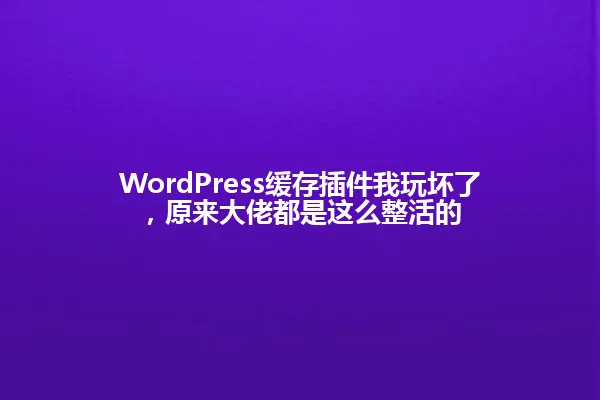 WordPress缓存插件我玩坏了,原来大佬都是这么整活的 一
