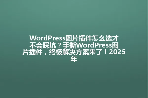 WordPress图片插件怎么选才不会踩坑?手撕WordPress图片插件,终极解决方案来了!2025年 一