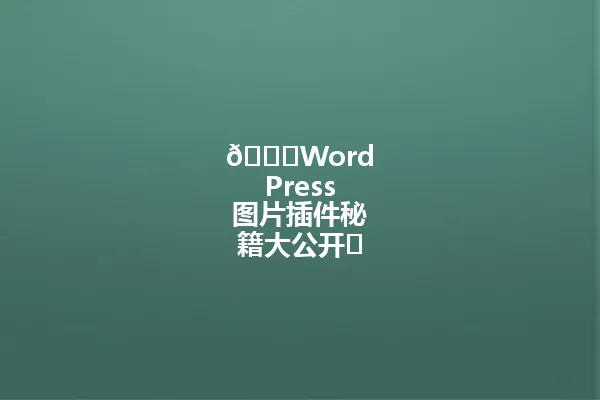 🚀WordPress图片插件秘籍大公开⚡️让网站加载速度飞跃提升！你还在为图片优化烦恼吗？这篇告诉你终极武器！ 一