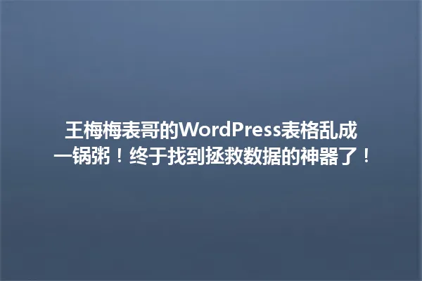 王梅梅表哥的WordPress表格乱成一锅粥！终于找到拯救数据的神器了！ 一