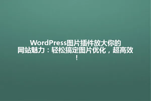 WordPress图片插件放大你的网站魅力:轻松搞定图片优化,超高效! 一