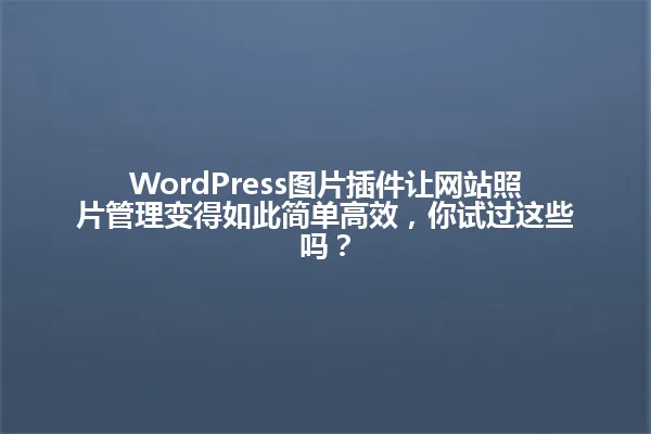 WordPress图片插件让网站照片管理变得如此简单高效,你试过这些吗? 一