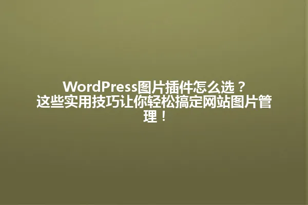 WordPress图片插件怎么选?这些实用技巧让你轻松搞定网站图片管理! 一