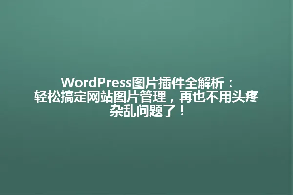 WordPress图片插件全解析:轻松搞定网站图片管理,再也不用头疼杂乱问题了! 一