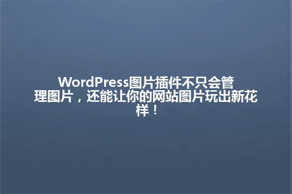 WordPress图片插件不只会管理图片，还能让你的网站图片玩出新花样！ 一