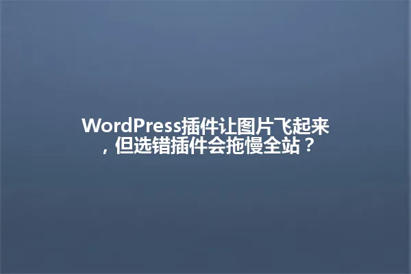 WordPress插件让图片飞起来,但选错插件会拖慢全站? 一