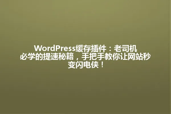 WordPress缓存插件:老司机必学的提速秘籍,手把手教你让网站秒变闪电侠! 一