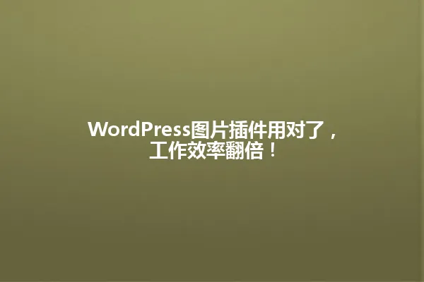 WordPress图片插件用对了,工作效率翻倍! 一